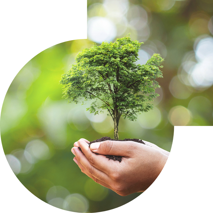 关怀人类、文化、环境与社会